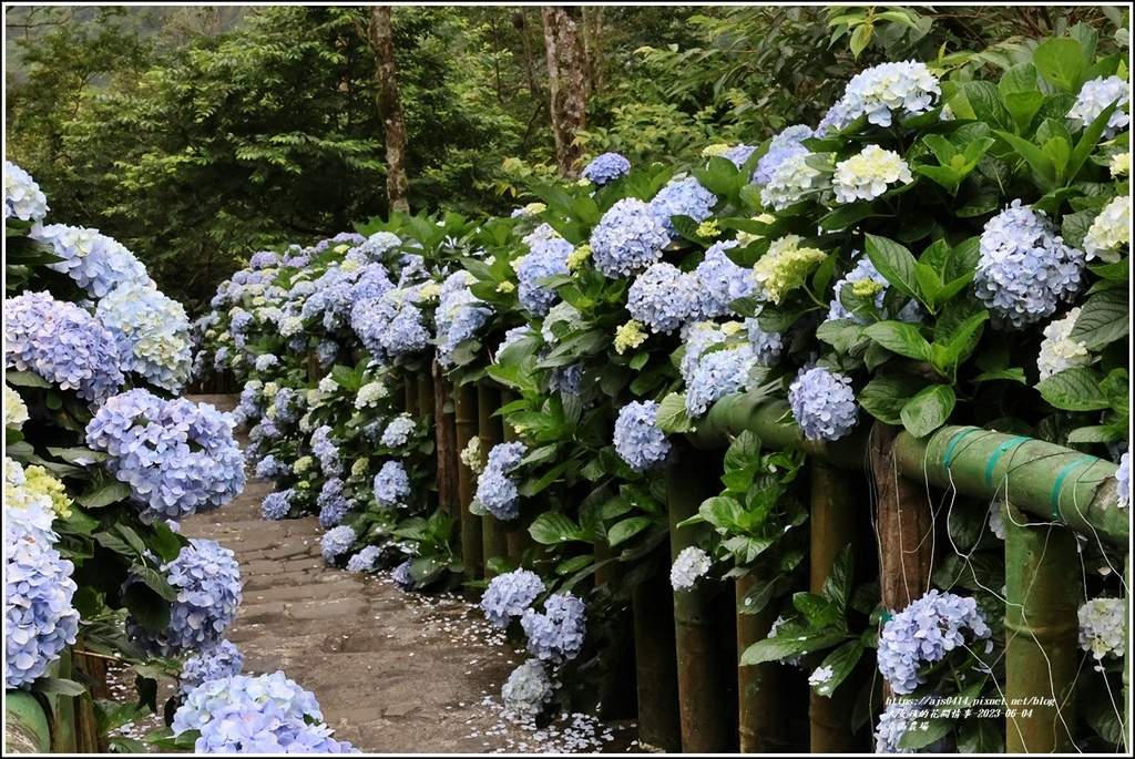 青山農場-2023-06-04-34.jpg 青山農場-2023-06-04-34.jpg
