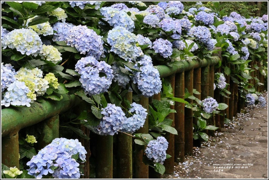 青山農場-2023-06-04-32.jpg 青山農場-2023-06-04-32.jpg