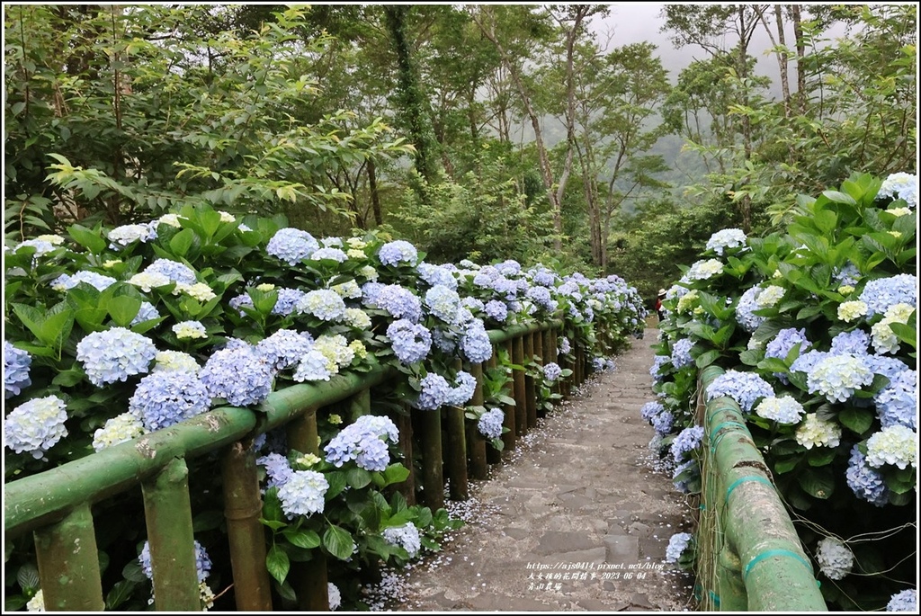 青山農場-2023-06-04-35.jpg 青山農場-2023-06-04-35.jpg
