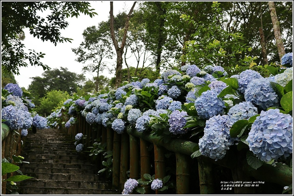 青山農場-2023-06-04-40.jpg 青山農場-2023-06-04-40.jpg