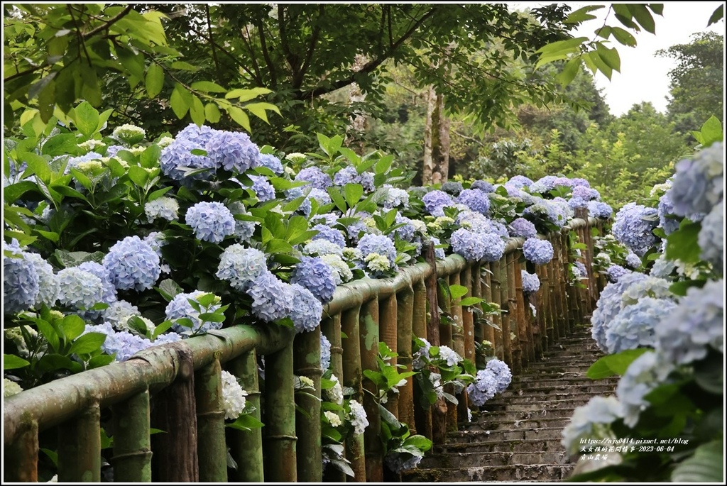 青山農場-2023-06-04-42.jpg 青山農場-2023-06-04-42.jpg
