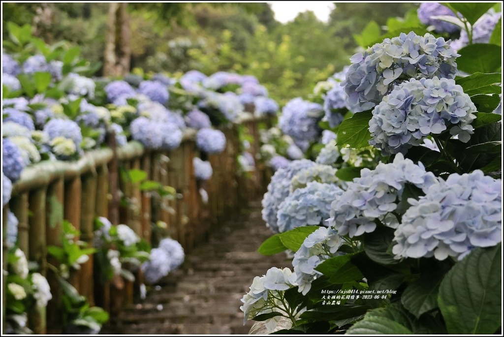 青山農場-2023-06-04-43.jpg 青山農場-2023-06-04-43.jpg