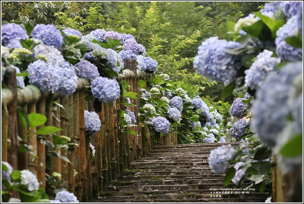 青山農場-2023-06-04-44.jpg 青山農場-2023-06-04-44.jpg