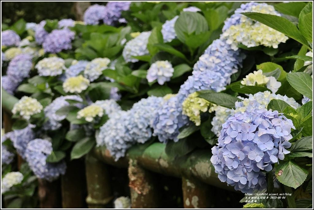 青山農場-2023-06-04-46.jpg 青山農場-2023-06-04-46.jpg