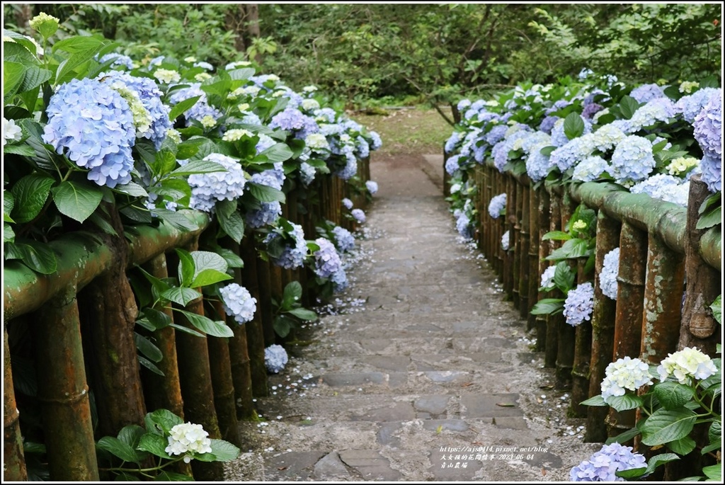 青山農場-2023-06-04-48.jpg 青山農場-2023-06-04-48.jpg