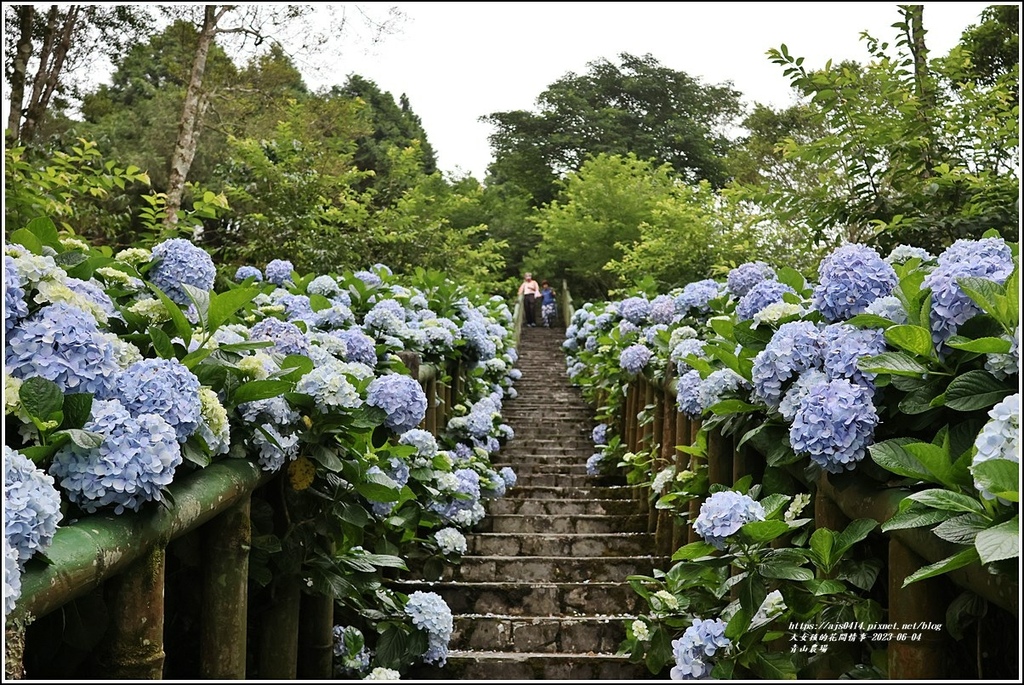 青山農場-2023-06-04-47.jpg 青山農場-2023-06-04-47.jpg