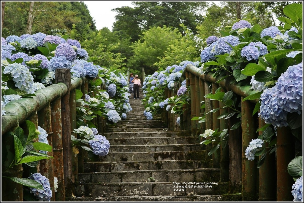 青山農場-2023-06-04-49.jpg 青山農場-2023-06-04-49.jpg