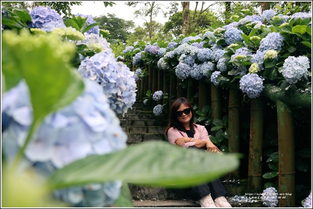 青山農場-2023-06-04-52.jpg 青山農場-2023-06-04-52.jpg