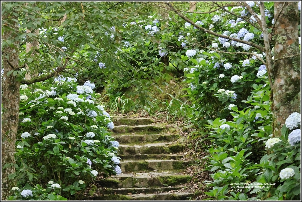 青山農場-2023-06-04-56.jpg 青山農場-2023-06-04-56.jpg