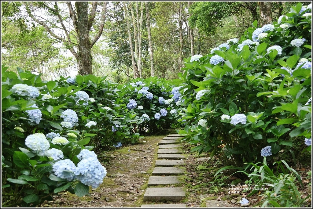 青山農場-2023-06-04-58.jpg 青山農場-2023-06-04-58.jpg