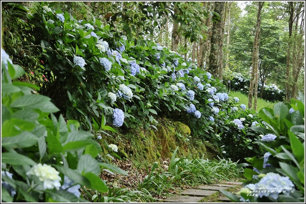 青山農場-2023-06-04-62.jpg 青山農場-2023-06-04-62.jpg