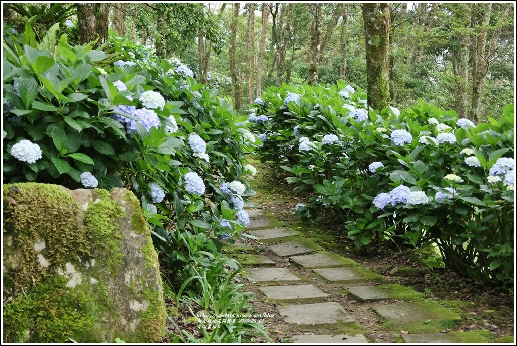青山農場-2023-06-04-64.jpg 青山農場-2023-06-04-64.jpg