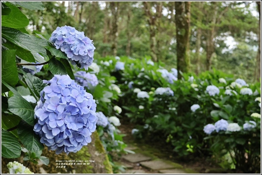 青山農場-2023-06-04-65.jpg 青山農場-2023-06-04-65.jpg