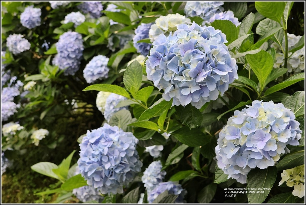 青山農場-2023-06-04-66.jpg 青山農場-2023-06-04-66.jpg