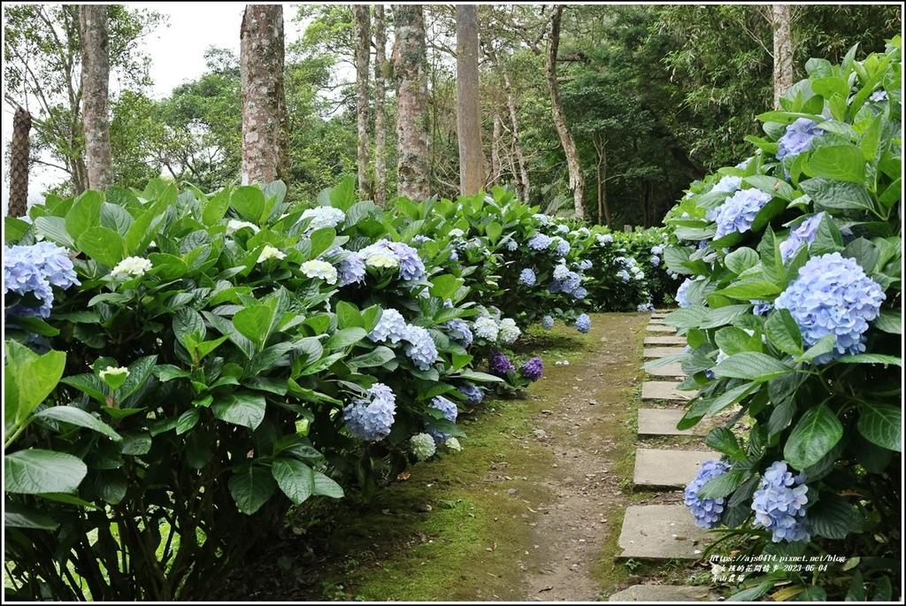 青山農場-2023-06-04-68.jpg 青山農場-2023-06-04-68.jpg