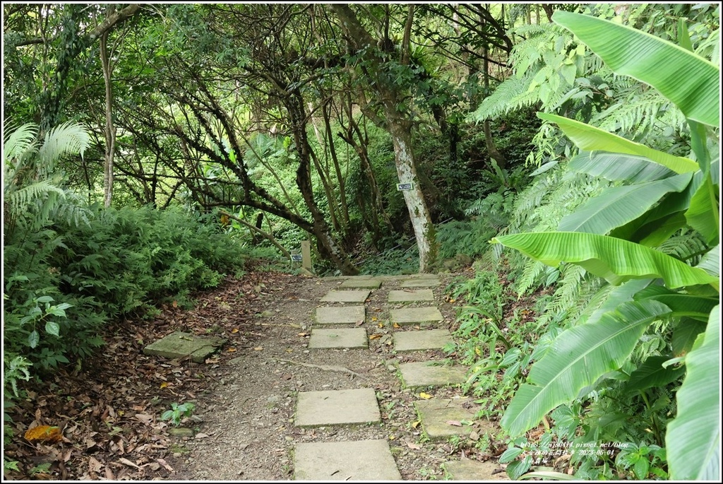 青山農場-2023-06-04-77.jpg 青山農場-2023-06-04-77.jpg