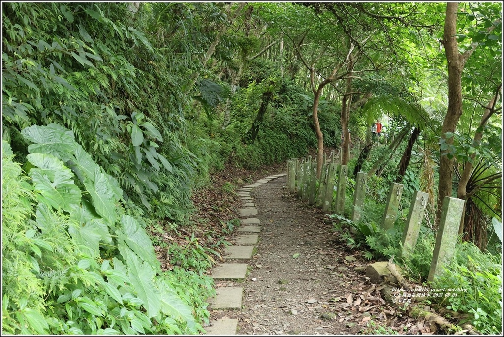 青山農場-2023-06-04-78.jpg 青山農場-2023-06-04-78.jpg