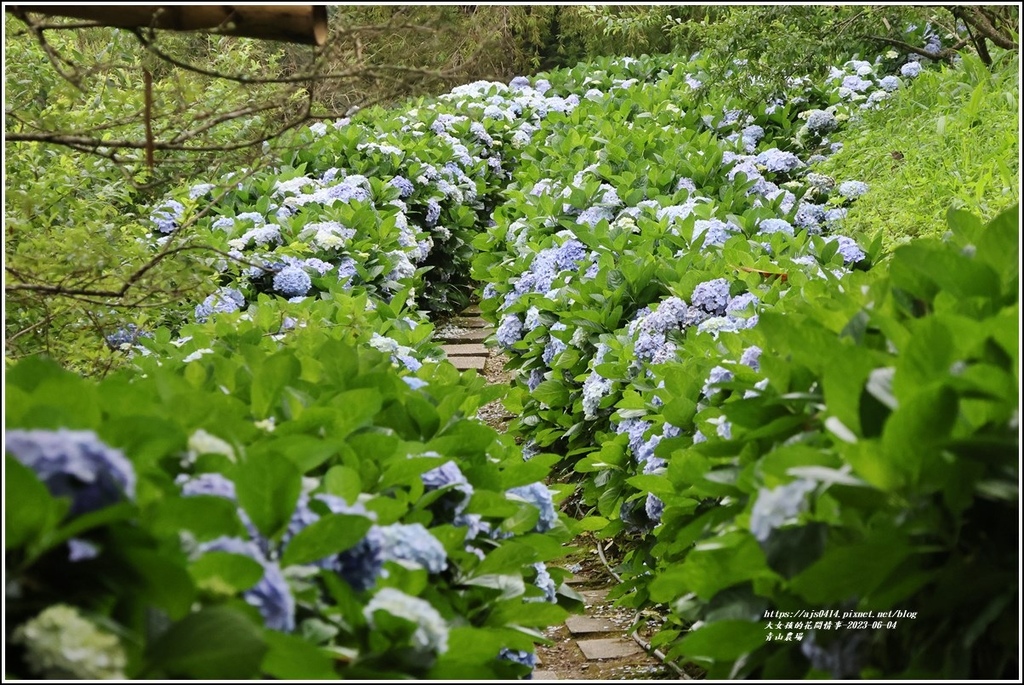 青山農場-2023-06-04-79.jpg 青山農場-2023-06-04-79.jpg