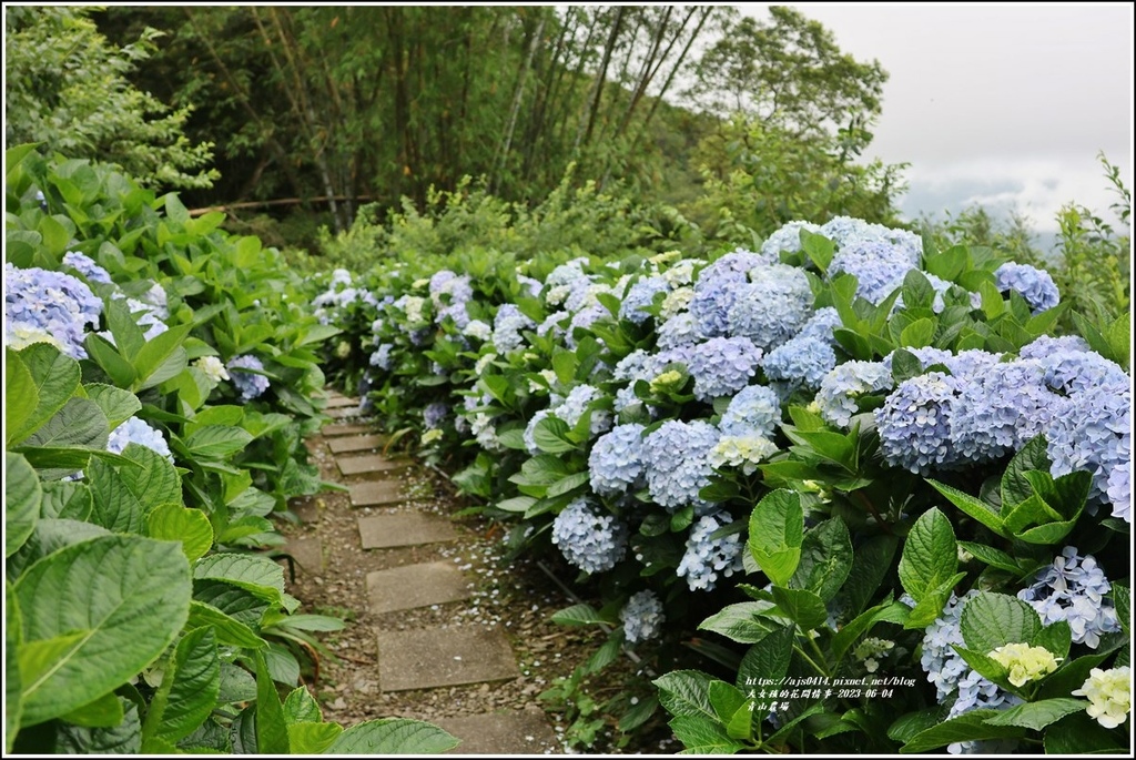 青山農場-2023-06-04-82.jpg 青山農場-2023-06-04-82.jpg