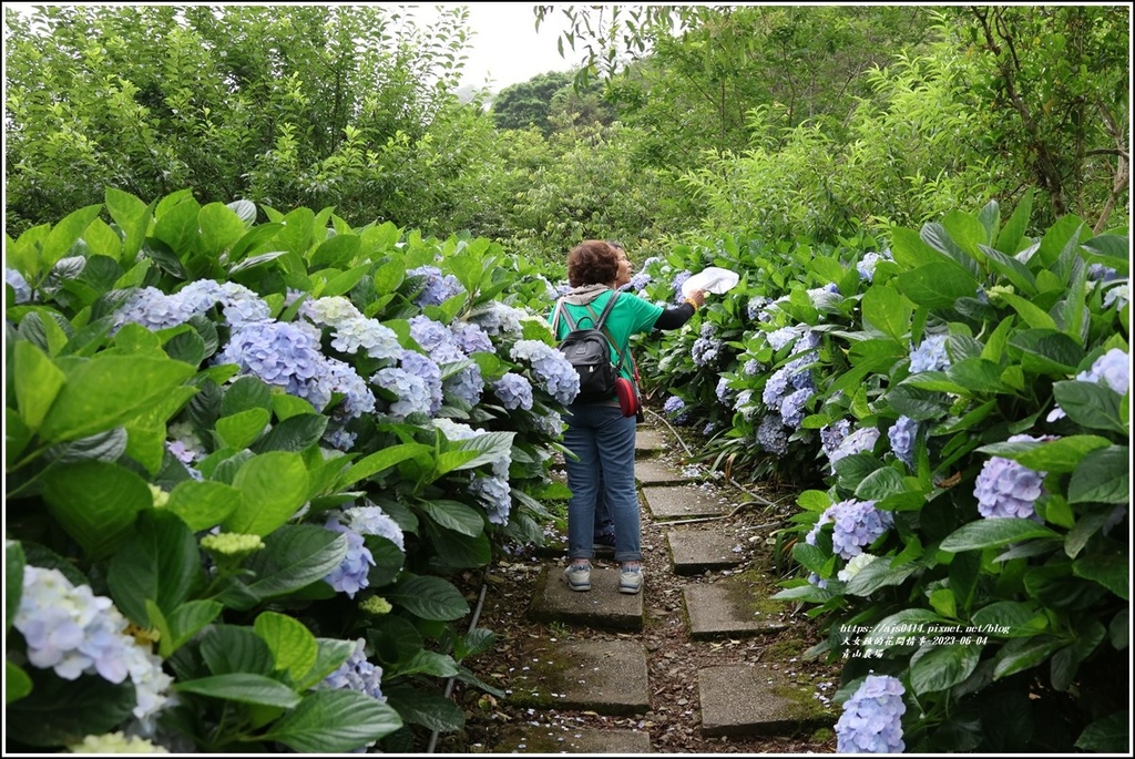 青山農場-2023-06-04-85.jpg 青山農場-2023-06-04-85.jpg