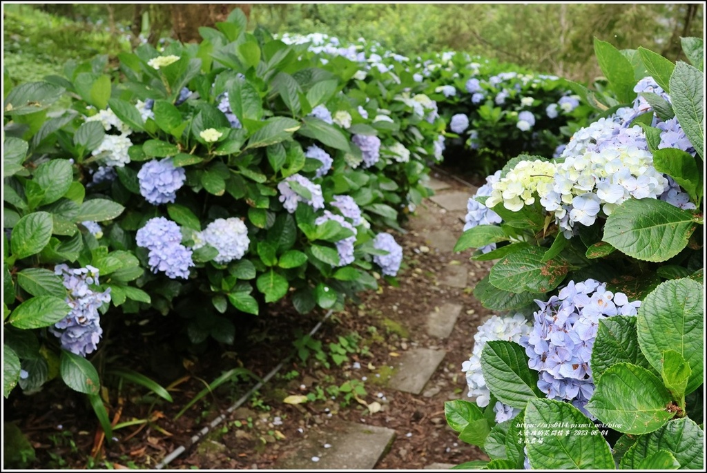 青山農場-2023-06-04-86.jpg 青山農場-2023-06-04-86.jpg