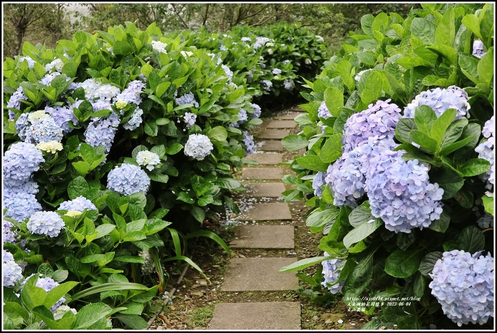 青山農場-2023-06-04-88.jpg 青山農場-2023-06-04-88.jpg