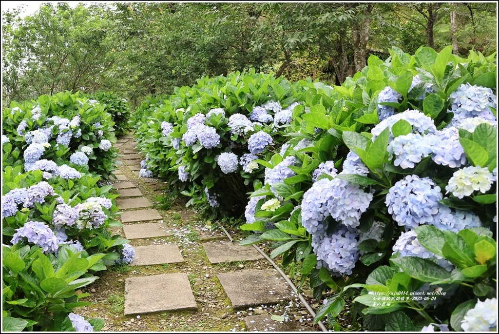 青山農場-2023-06-04-87.jpg 青山農場-2023-06-04-87.jpg