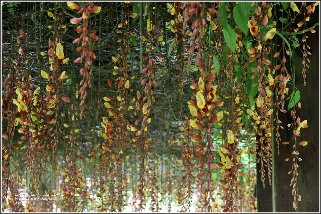 青山農場-2023-06-04-94.jpg 青山農場-2023-06-04-94.jpg