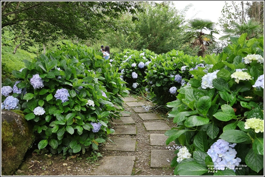 青山農場-2023-06-04-101.jpg 青山農場-2023-06-04-101.jpg
