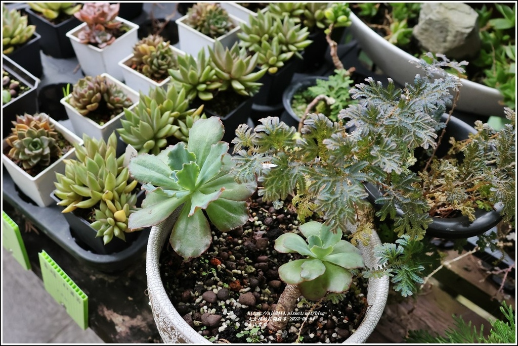 青山農場-2023-06-04-107.jpg 青山農場-2023-06-04-107.jpg