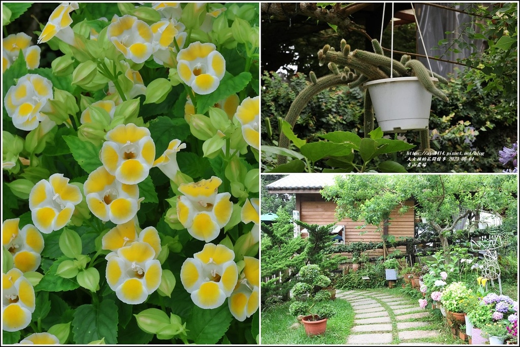 青山農場-2023-06-04-115.jpg 青山農場-2023-06-04-115.jpg