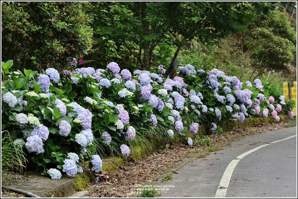 開元農場-2023-06-04-02.jpg 開元農場-2023-06-04-02.jpg