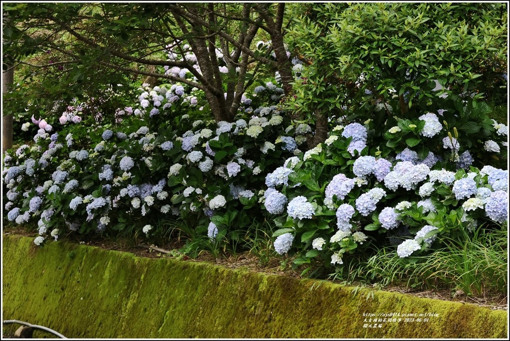 開元農場-2023-06-04-01.jpg 開元農場-2023-06-04-01.jpg