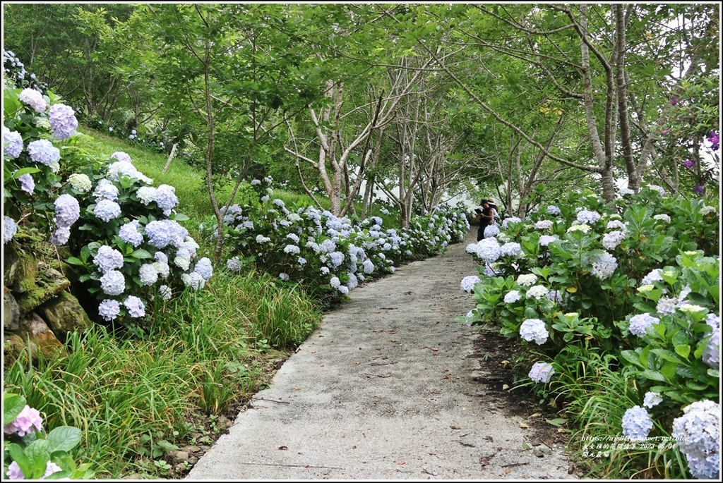 開元農場-2023-06-04-03.jpg 開元農場-2023-06-04-03.jpg