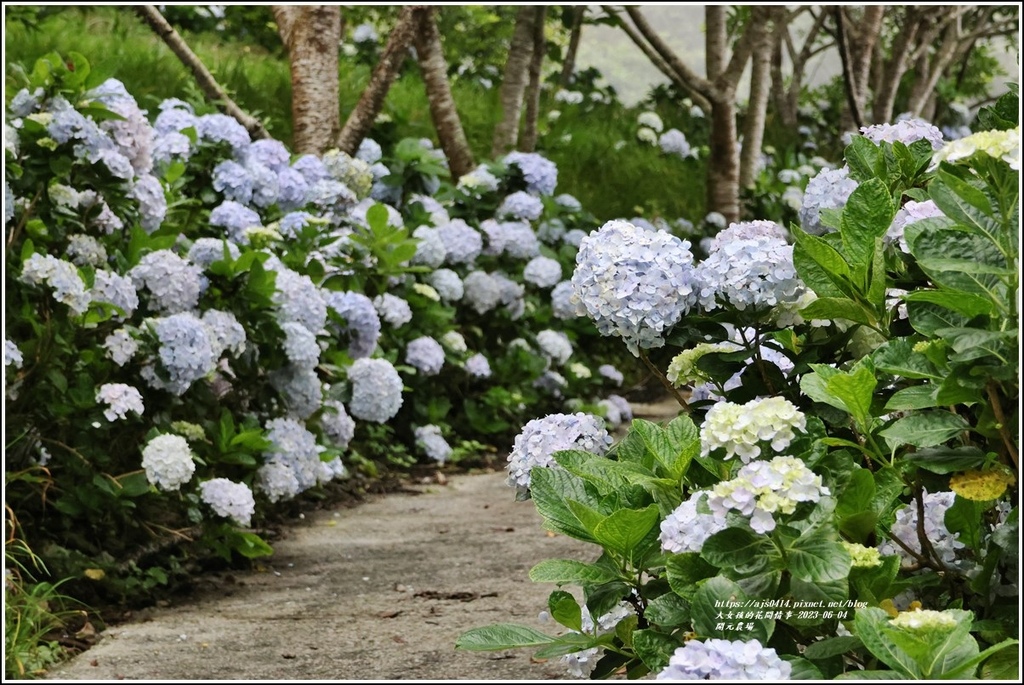 開元農場-2023-06-04-05.jpg 開元農場-2023-06-04-05.jpg