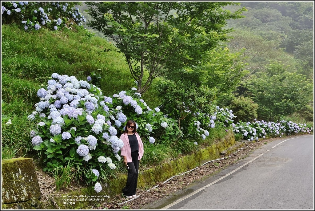 開元農場-2023-06-04-06.jpg 開元農場-2023-06-04-06.jpg