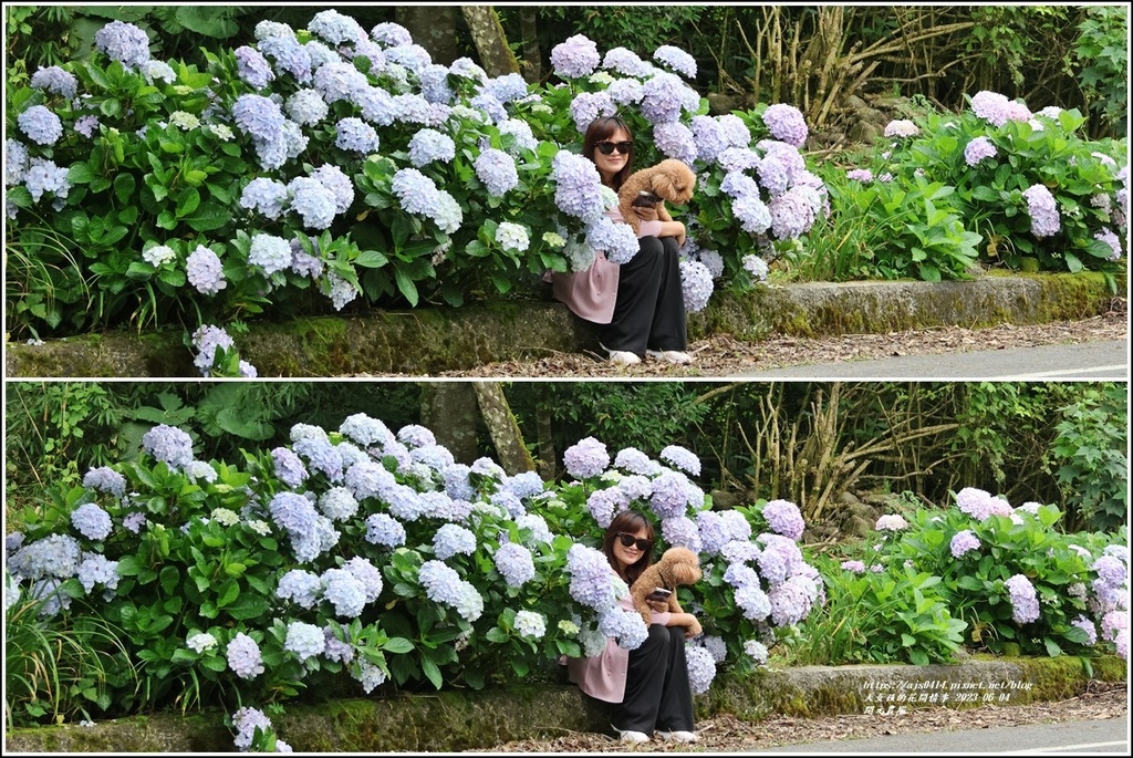 開元農場-2023-06-04-10.jpg 開元農場-2023-06-04-10.jpg