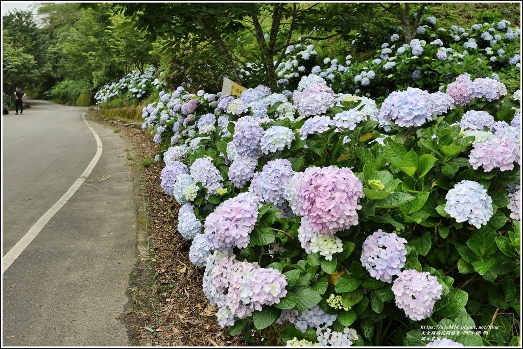 開元農場-2023-06-04-12.jpg 開元農場-2023-06-04-12.jpg