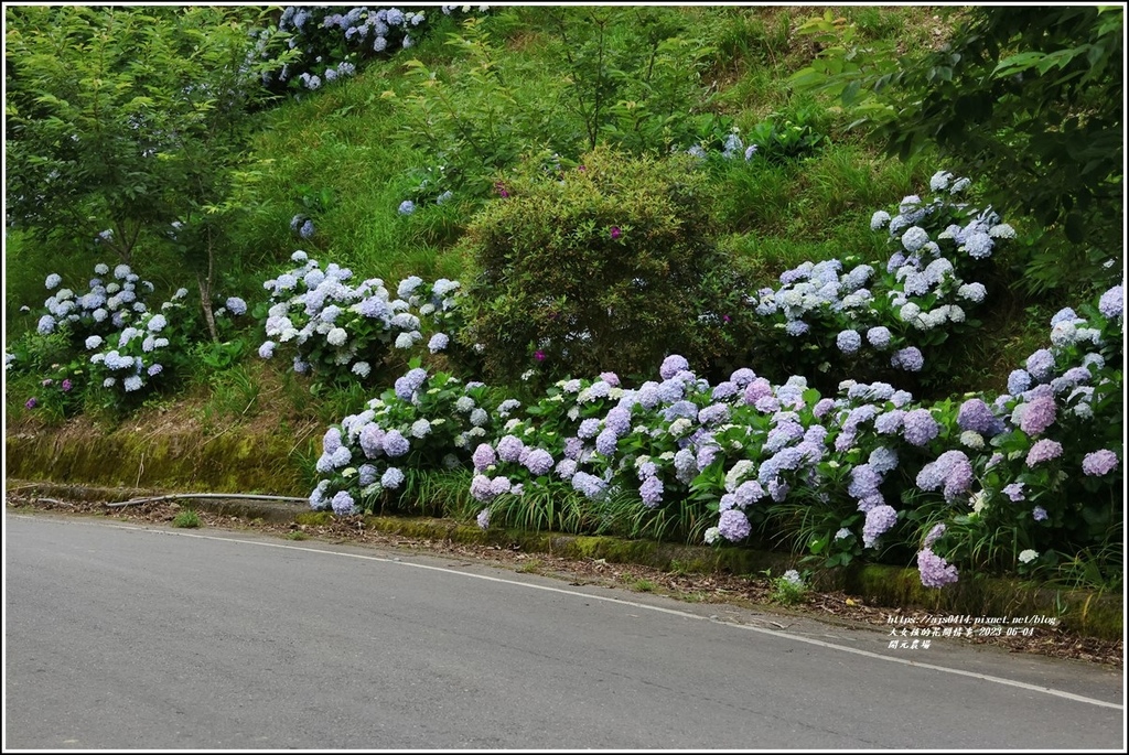 開元農場-2023-06-04-15.jpg 開元農場-2023-06-04-15.jpg