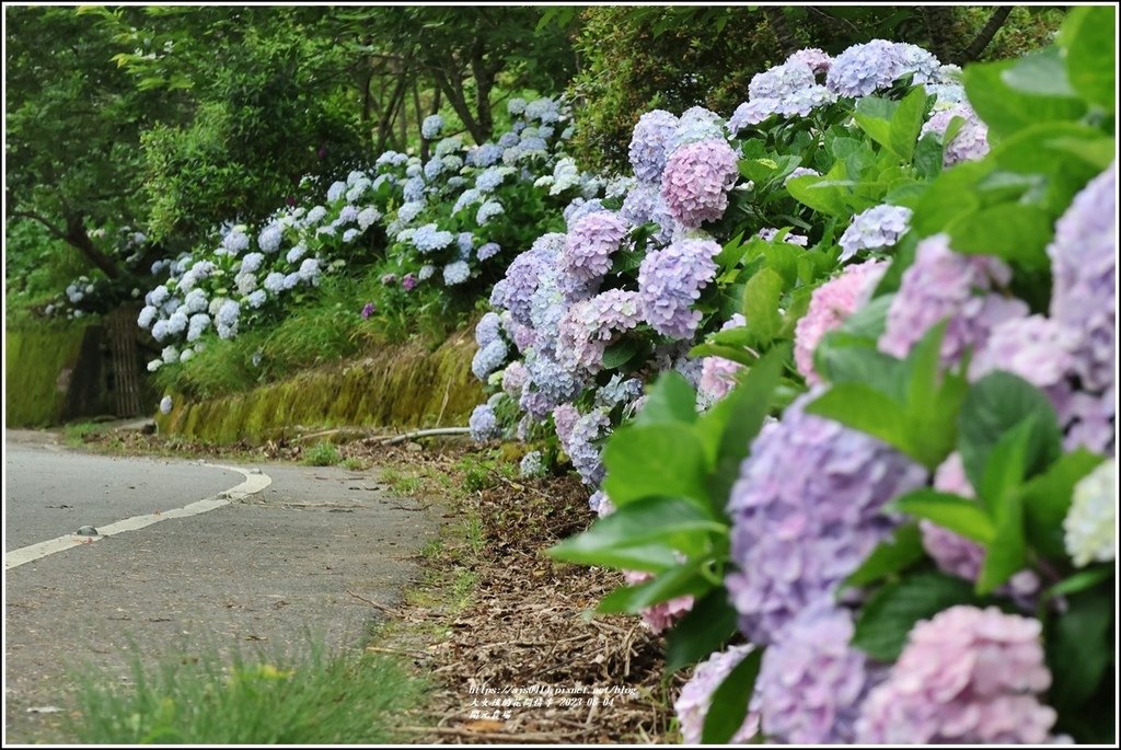 開元農場-2023-06-04-19.jpg 開元農場-2023-06-04-19.jpg