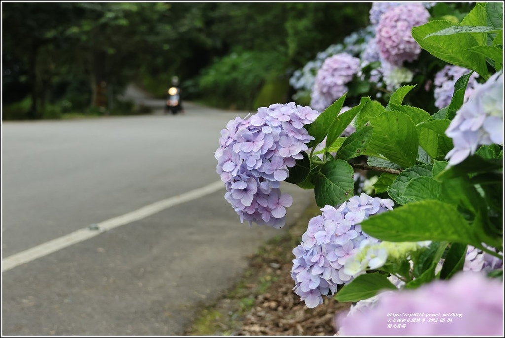 開元農場-2023-06-04-18.jpg 開元農場-2023-06-04-18.jpg