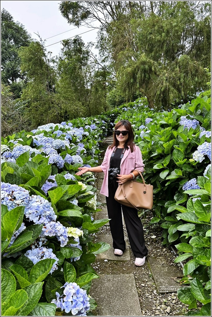 青山農場-2023-06-04-116.jpg 青山農場-2023-06-04-116.jpg