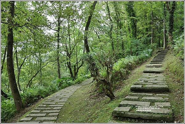 池南國家森林遊樂區-2023-05-25-27.jpg