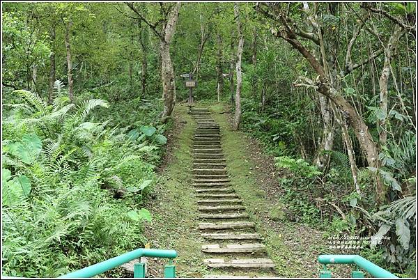 池南國家森林遊樂區-2023-05-25-30.jpg