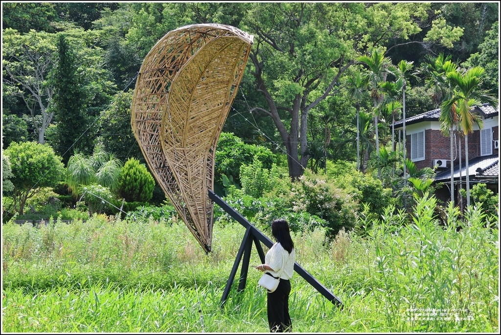 東海岸大地藝術(小馬部落)-懸浮的海浪-2023-07-02-11.jpg 東海岸大地藝術(小馬部落)-懸浮的海浪-2023-07-02-11.jpg