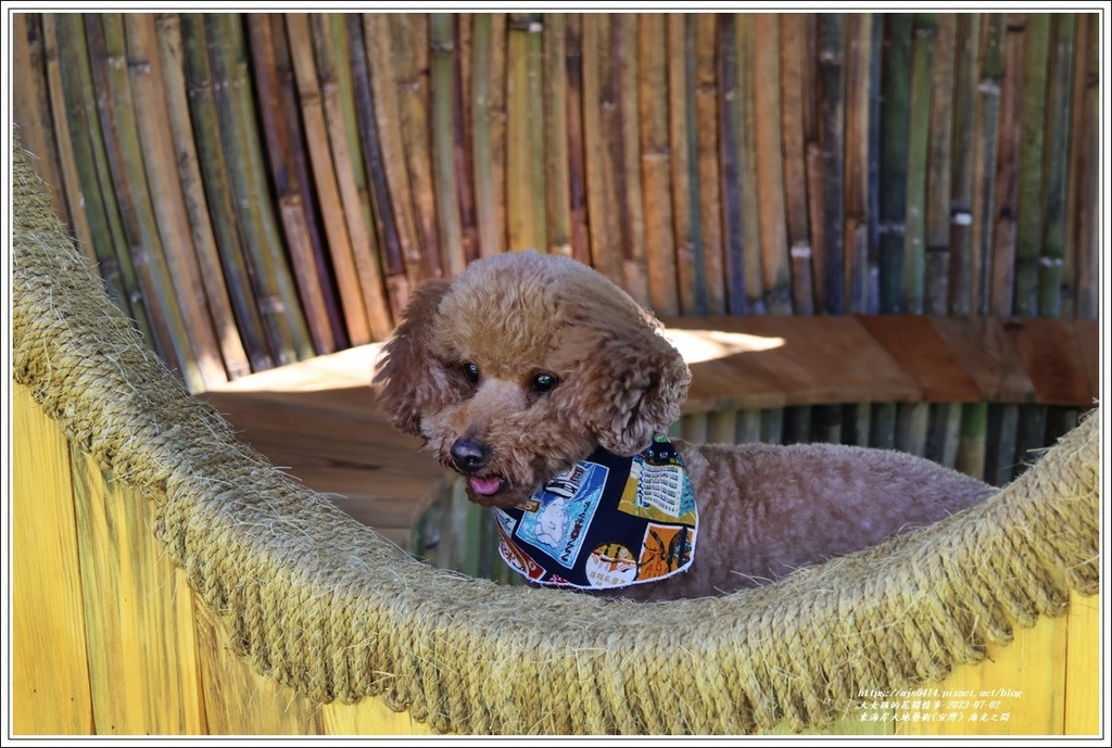 東海岸大地藝術(宜灣)-海光之間-2023-07-02-05.jpg 東海岸大地藝術(宜灣)-海光之間-2023-07-02-05.jpg