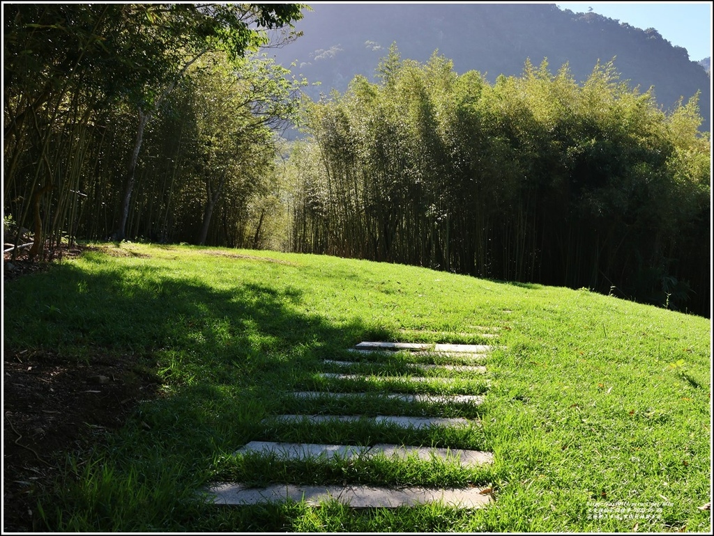 花蓮絕美步道-里山竹林散步道-2023-05-28-03.jpg
