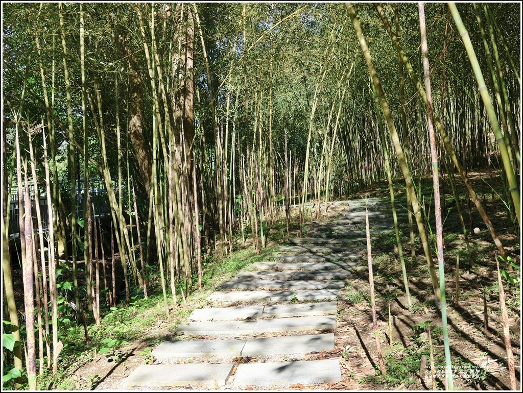 花蓮絕美步道-里山竹林散步道-2023-05-28-04.jpg