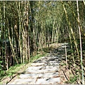 花蓮絕美步道-里山竹林散步道-2023-05-28-04.jpg