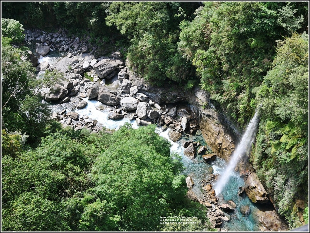 花蓮絕美步道-富源國家森林遊樂區-2023-05-06-04.jpg